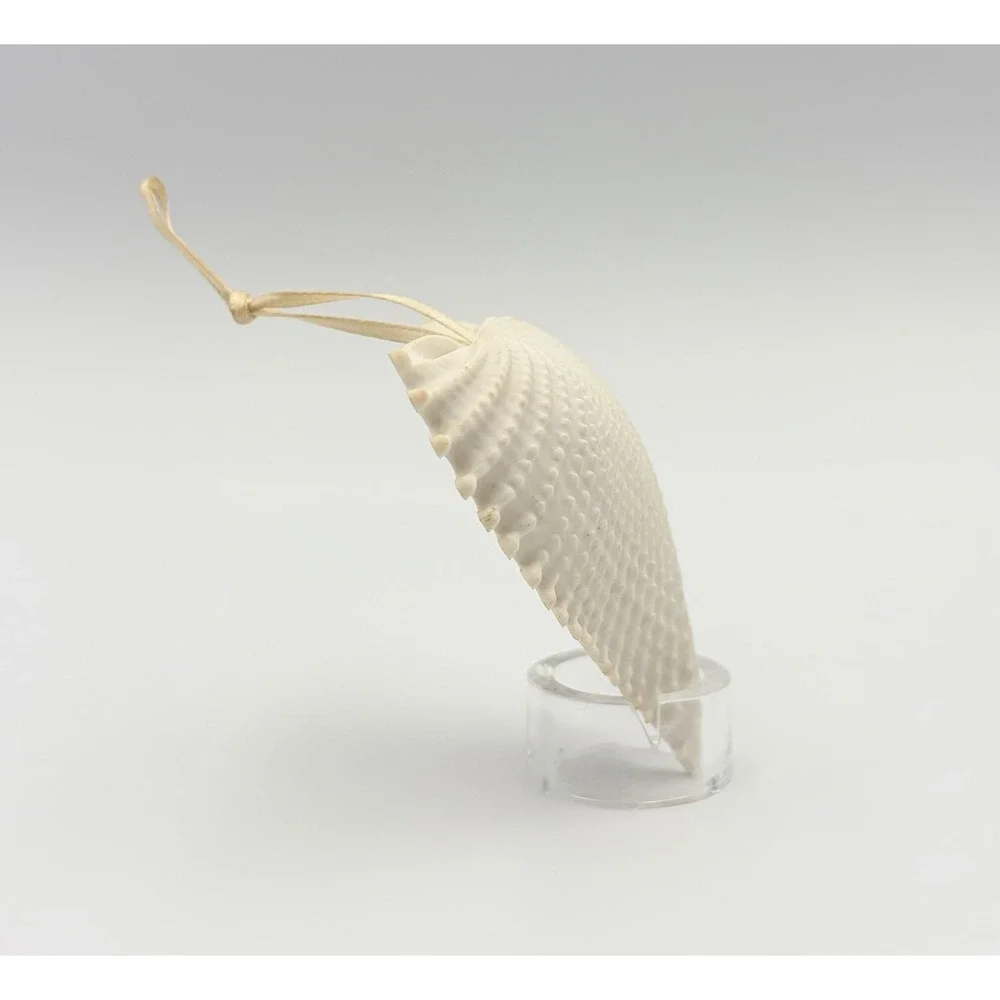 Margaret Furlong Bisque Porcelain Heart Seashell Ornament Wings Of Love 2.5